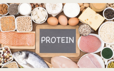 Easy Protein 101