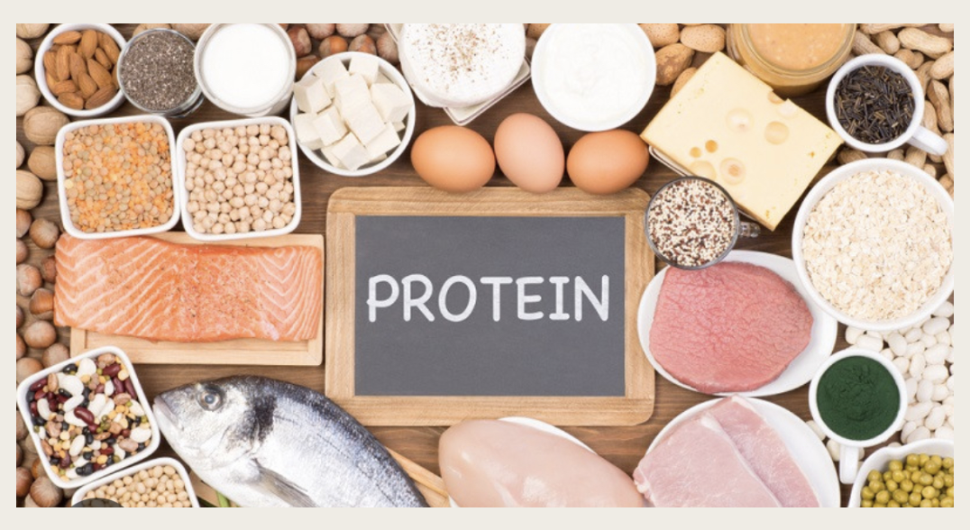 Easy Protein 101